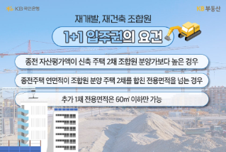 헌 집 한 채로 새 집 두 채? 1+1 입주권 이제 못 받나요