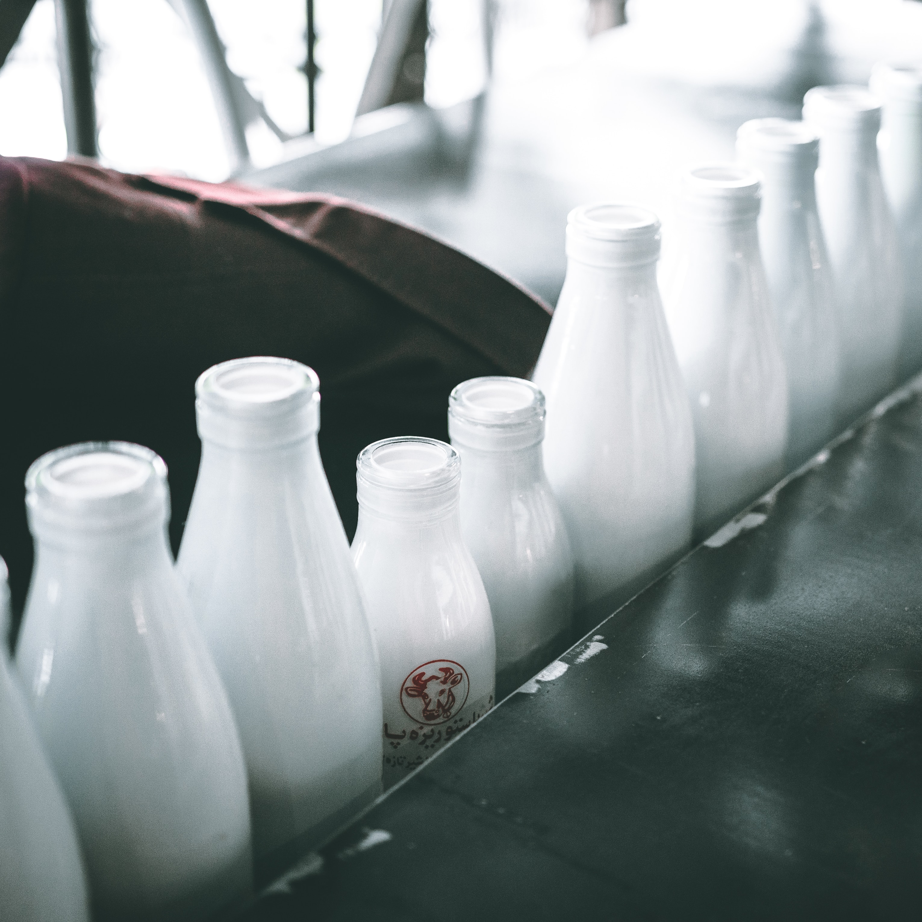 하얀색 병에 담긴 우유가 컨베이어 벨트에 줄지어 서 있으며, 우유병 쪽으로 햇빛이 들어오는 듯한 모습이다.