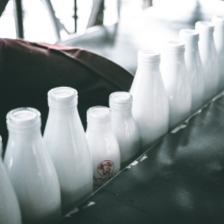 하얀색 병에 담긴 우유가 컨베이어 벨트에 줄지어 서 있으며, 우유병 쪽으로 햇빛이 들어오는 듯한 모습이다.