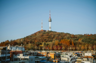 남산타워와 주변 '주택'들의 모습을 보여주고 있다.