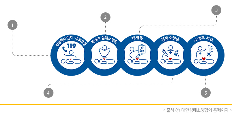 '생존 사슬'을 나타낸 이미지. '생존 사슬'이란 '심정지 환자'의 '소생'을 위한 다섯 개의 '응급 처치'가 '연속적'으로 시행되는 과정을 말한다.