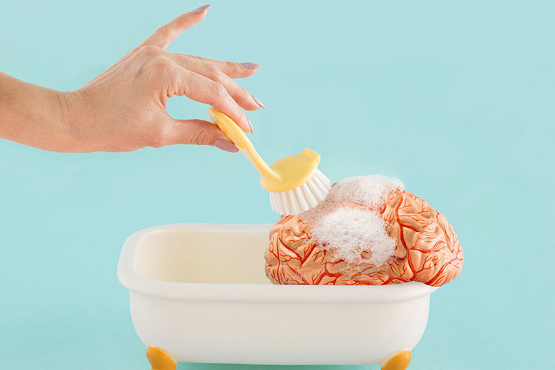 욕조안에 '뇌'의 모형을 넣고 브러쉬로 거품을 내며 닦고 있는 모습이다.