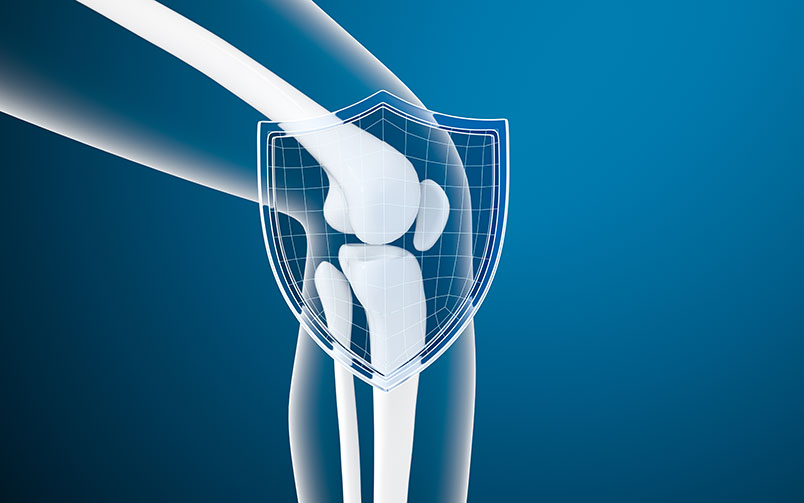 '무릎 연골'을 보호하는 방패이미지를 보여주고 있다.