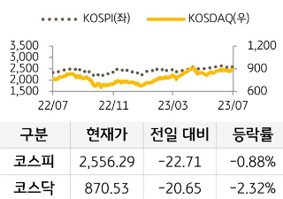 국내증시 지수의 추이를 나타낸 선 그래프와 표. '코스피'와 '코스닥'의 현재가, 전일 대비 증감, 등락률을 확인할 수 있다.