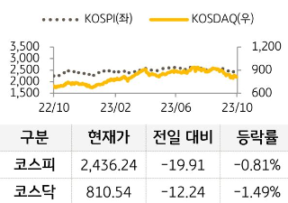 국내증시인 코스피와 코스닥을 현재가, 전일 대비, 등락률로 구분지어 그래프와 표를 통해 수치를 보여주고 있다.