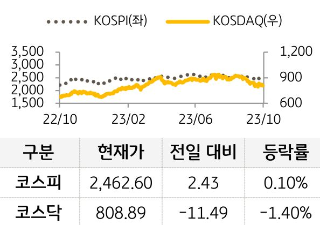 국내증시인 코스피와 코스닥을 현재가, 전일 대비, 등락률로 구분지어 그래프와 표를 통해 수치를 보여주고 있다. 