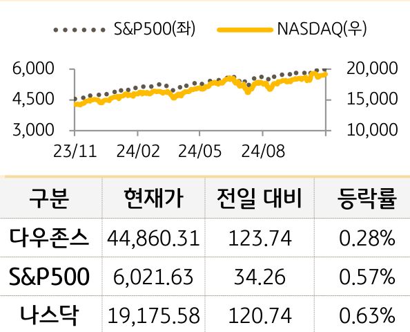 미국 증시