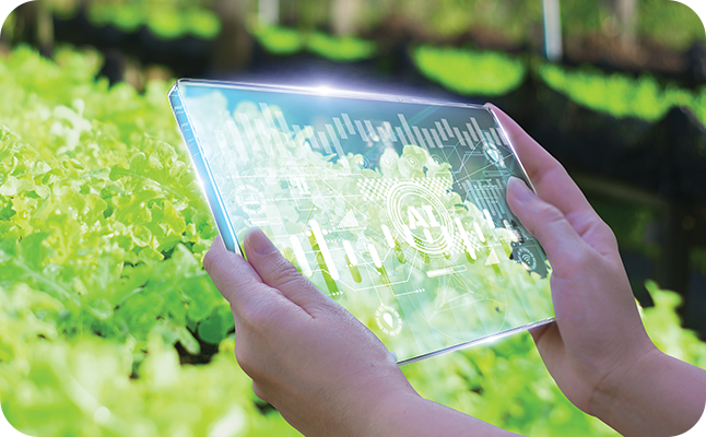 농작물을 테블릿PC를 통해 세부적인 것까지 관리를 하는 느낌으로, 농업에 최신 기술을 접목한 것을 나타내는 이미지이다.