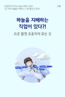 파란색 글씨로 '하늘을 지배하는 직업이 있다?!'라고 쓰여 있으며, 하단에는 비행을 하고 있는 캐릭터가 그려져 있음.