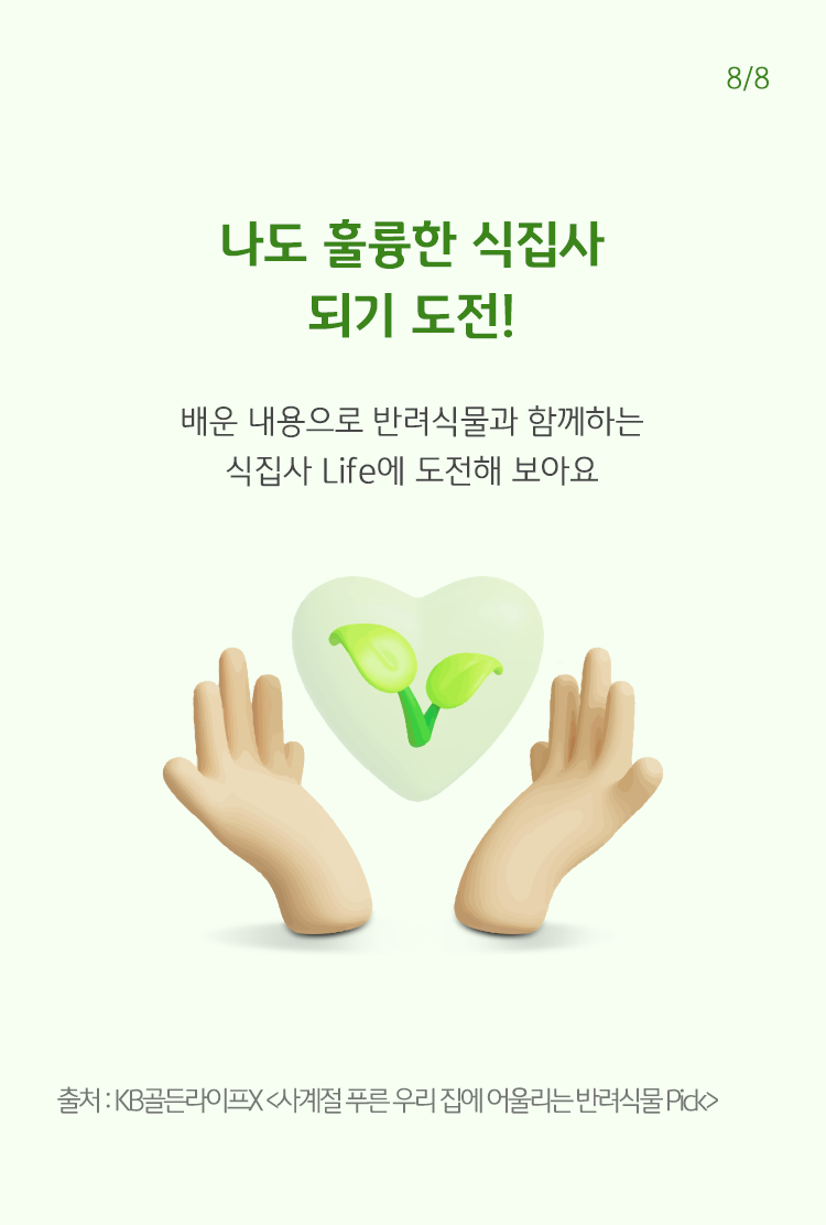 훌륭한 식집사 되기 도전!