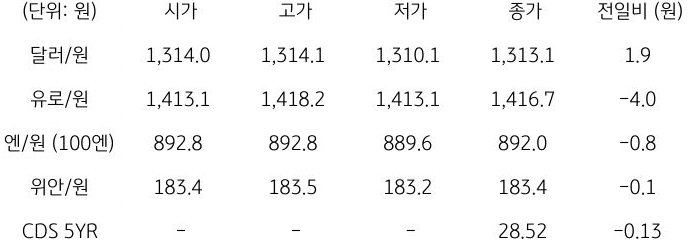 국내 외환 시장 동향