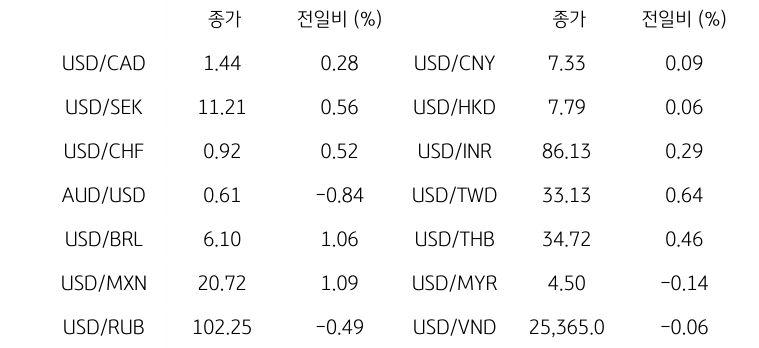 글로벌 주요 통화 동향