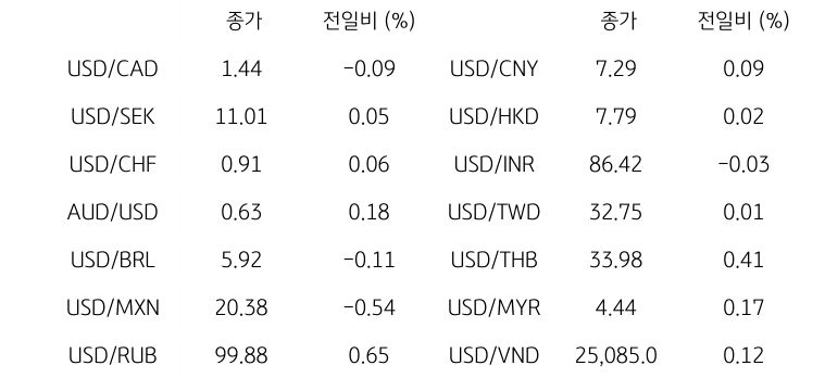 글로벌 주요 통화 동향