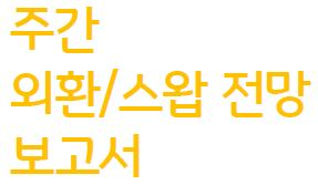 주간 외환 스왑 전망 보고서