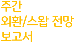 주간 외환 스왑 전망 보고서