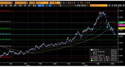 11월 이후 2개월 만에 175원 급락 등 변동성 심화, 1월에도 미국 소비자물가 둔화, 반면 글로벌 경기침체 우려 등 변동성 요인 지속, 환율 되돌림을 감안하면 1,240~1,300원 등락 전망