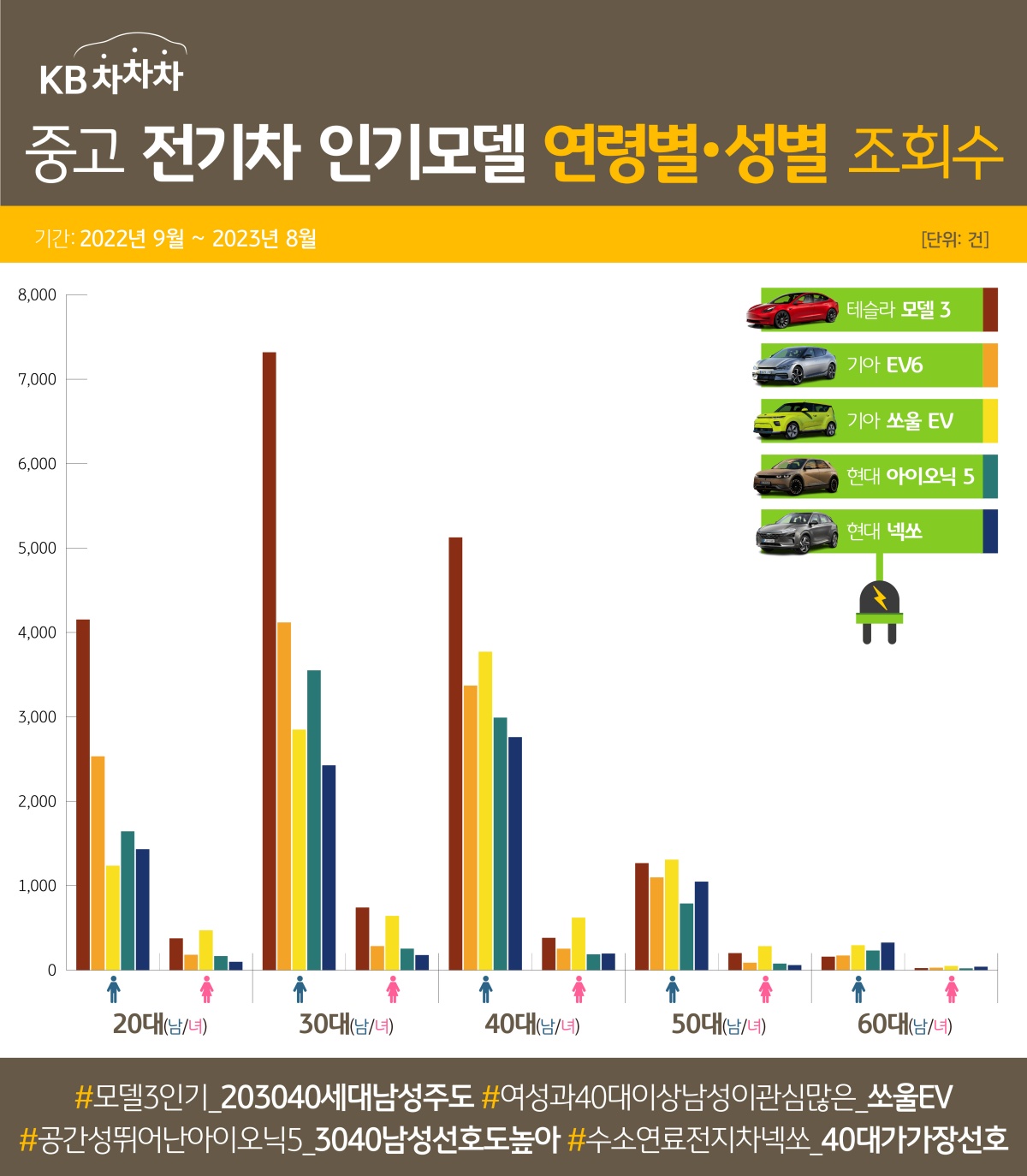 20대부터 60대까지, 그리고 성별 전기차 조회수를 모델별로 비교한 그래프. 20~40대 남성들의 경우 '테슬라'를, 여성 및 40대 이상 남성은 '기아 쏘울 EV'를 우선적으로 조회하였다.