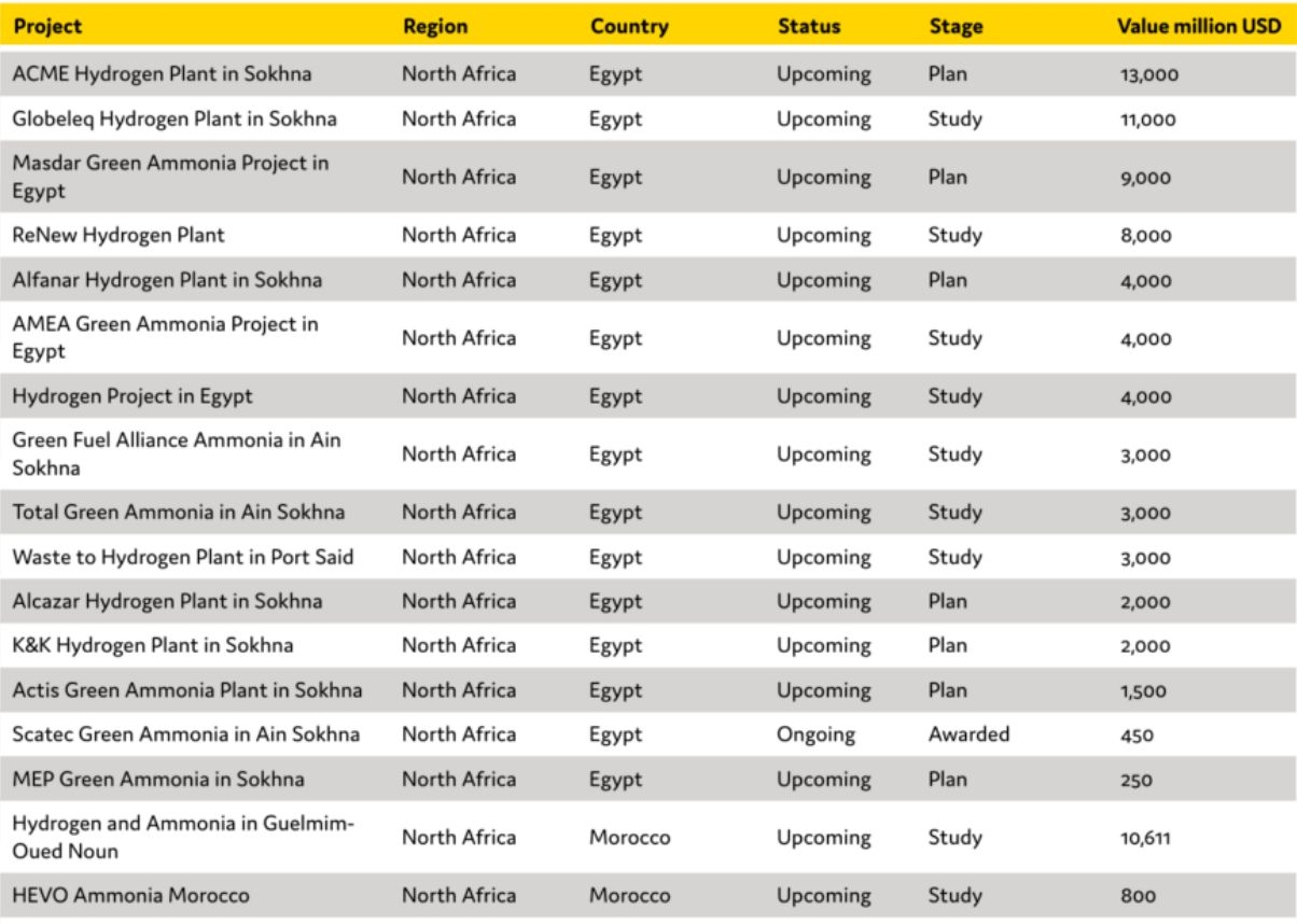 진행 중인 '아프리카'의 '수소 생산 플랜트', '암모니아 생산 플랜트' 프로젝트를 나타낸 표.