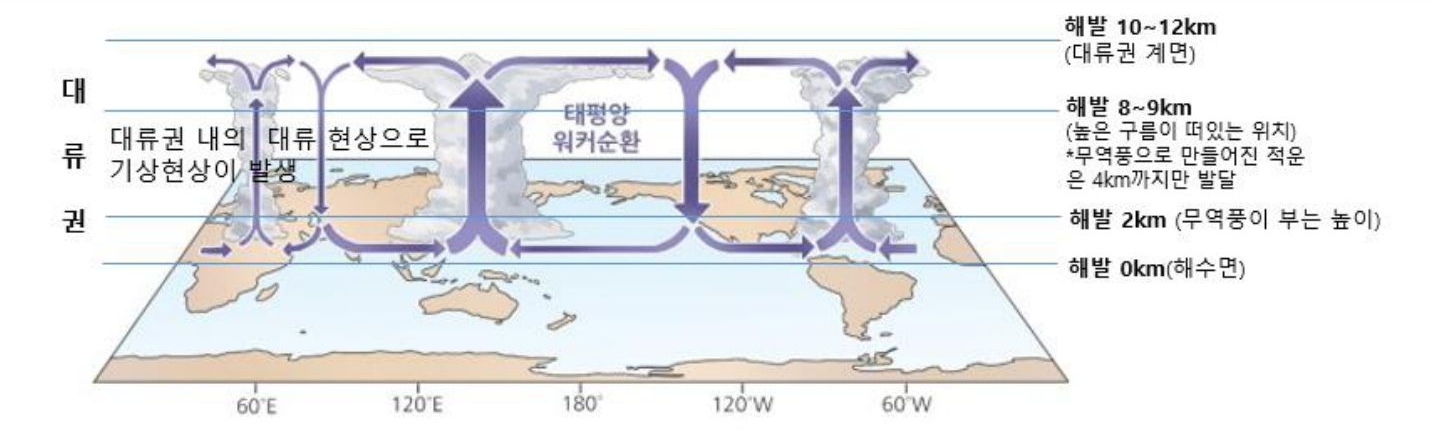 태평양을 중심으로 '대류권'의 '대류 현상'이 발생하면서 대기 순환이 나타나는데, 이를 '워커 순환' 이라고 함.