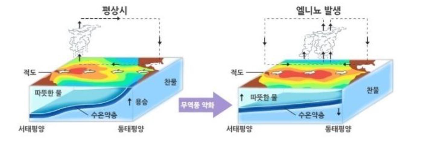 '엘니뇨'가 어떻게 발생하는 지를 입체도로 표현함.