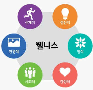 글로벌웰니스협회 (Global Wellness Institute, 는 신체적 · 정신적 · 영적 · 정서적 · 사회적 · 환경적 영역에서 건강한 삶을 추구하는 적극적인 노력도 '웰니스'에 포함된다고 정의한 바 있다.