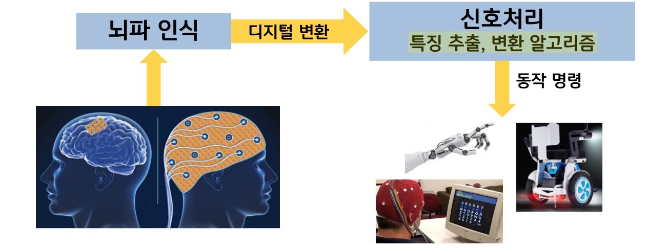 '뇌-컴퓨터' ''인터페이스'(BCI) 동작 개요를 보여주는 이미지로서 뇌파가 인식되면 디지털로 변환하여 신호처리 한 뒤 동작 명령을 내린다.