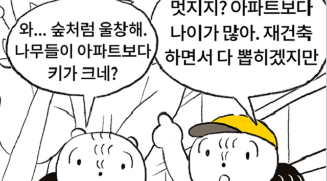 재건축 단지의 나무들_피드_1