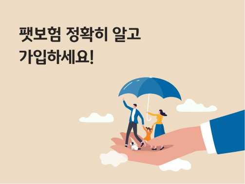 '펫보험 정확히 알고 가입하세요' 라고 쓰여있는 대표 이미지로 반려동물과 가족이 우산을 쓰고 날아가고 있다. 