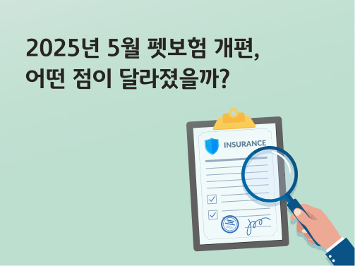 '2025년 5월 펫보험 개편, 어떤 점이 달라졌을까?'라고 써있는 대표 이미지로 돋보기로 보험 문서를 살피고 있다.